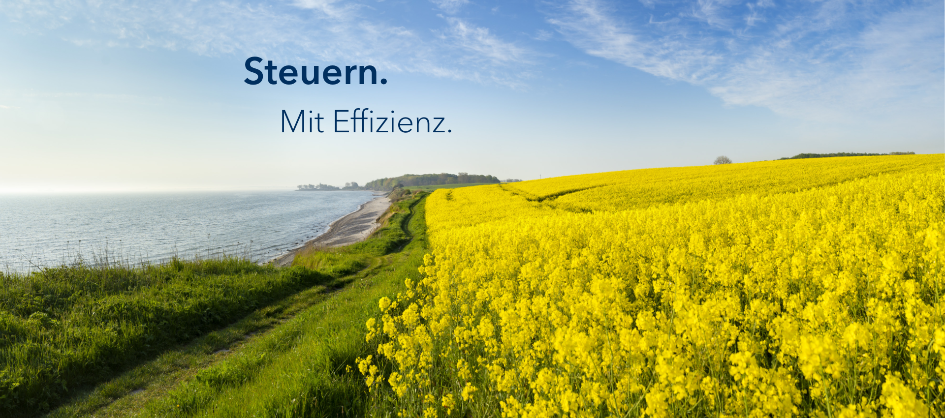 Headerbild: Schleswig-Holstein, Rapsfeld mit dem Slogan "Steuern. Mit Effizienz."